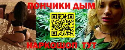 гашик Заводоуковск